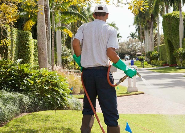 About Port Austin MI Pest Control
